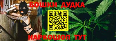 Альфа ПВП Обь