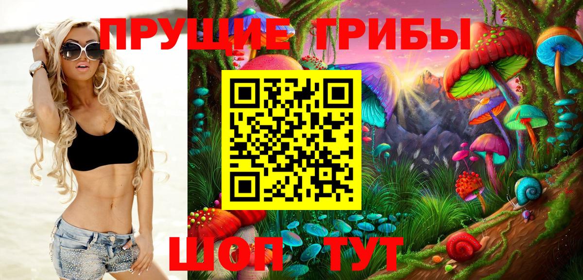 где можно купить наркотик  Псилоцибиновые грибы GOLDEN TEACHER  Псилоцибиновые грибы Magic Shrooms  Вход с VPN  Хабаровск 