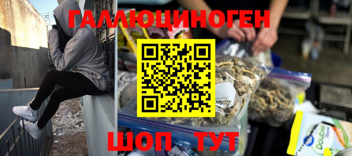 Галлюциногенные грибы прущие грибы Хабаровск
